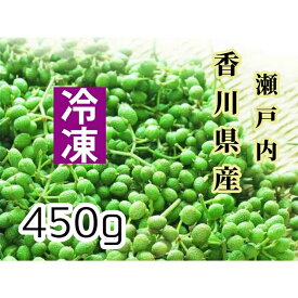 ウマブドウ冷凍果実450g（焼酎漬け約1.8L分）(葉っぱ舎)【うまぶどう/馬ぶどう/馬ブドウ】
