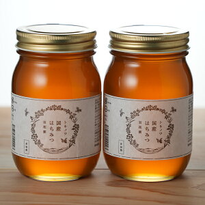 国産はちみつ 百花蜜 600ml 2本セット(トネノワ)