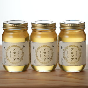 国産はちみつ アカシア 300ml  3本セット(トネノワ)