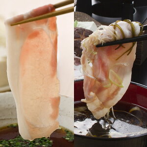 y~Mtgzcq ؓ؁EO؁@肵ԂԃMtg[]yLO/lC/ʔ/Mtg/v[g/̓/̓z[TY-F-M]