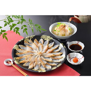 yzyYnẑǂthZbg iT-19jy̓/̓/a/j/Mtg//䒆/Ε/Ε/ʔ́z[TY-F-M]