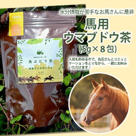 ウマブドウ茶【馬用】(5g＊8包) 【乗馬/乗馬用品/馬の健康茶/ペット用のお茶/草食動物用】