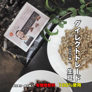 _CNgg[h R[q[ 240g   R[q[Mtg XyVeBR[q[  R[q[ʔ R[q[ 萶 XyVeBR[q[ R[q[ 