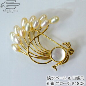 _|Cg10{I11/3ij23:59܂Ł^y  z VR u[` Wp[ & L NWN S[hbL | 40 50 60 70 80 a v[g  6 a NX}X JW