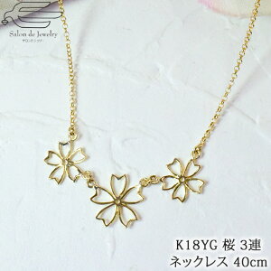 _|Cg20{I11/1iyj^y  z K18YG lbNX 40cm  3A y_g |  TN 30 40 50 60 70 a v[g  ޏ  4 a NX}X tH[}