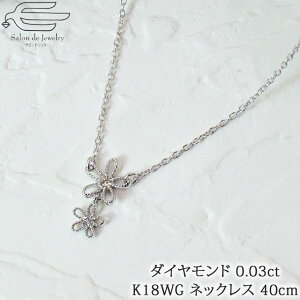 _|Cg20{I11/1iyj^y  z K18WGt[ _Ch 0.03ct v` lbNX 40cm | 30 40 50 60 a v[g  ޏ  4 a NX}X tH[} J