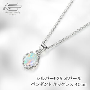 オパール ネックレス」の人気商品一覧 | 安い商品を通販サイトから探す 