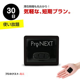 楽天市場 Gps 追跡 小型の通販