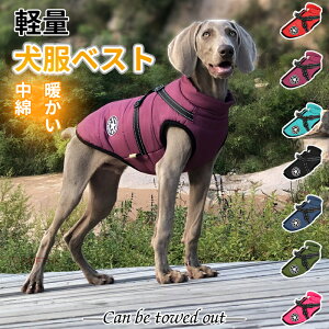 ^  AE^[ _E hbOEFA  ̕ WPbg R[g h g ^ ^ H ~ ~p ~  j̎q ̎q X IX  ₷ TCY 