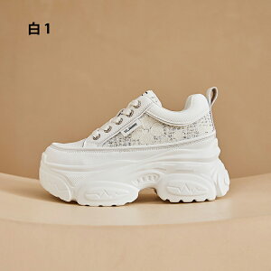 Xj[J[ fB[X V[Y EH[LOV[Y +8cm y Xb|  ʋ EH[LO ₷ W ʋC Ղ ~  ɂ ꂢ O