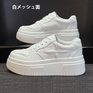 Xj[J[ fB[X V[Y EH[LOV[Y bV +5cm y Xb|  ʋ EH[LO ₷ W ʋC Ղ ~  ɂ ꂢ