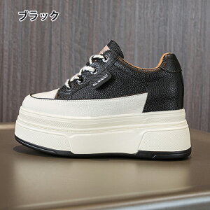 Xj[J[ fB[X V[Y EH[LOV[Y +9cm y Xb|  ʋ EH[LO ₷ W ʋC Ղ ~  ɂ ꂢ O