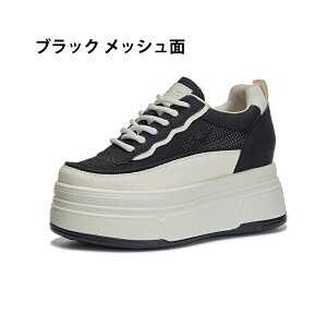 Xj[J[ fB[X V[Y EH[LOV[Y tH +9cm y Xb|  ʋ EH[LO ₷ W ʋC Ղ ~  \JWAX|[c 
