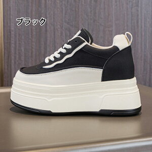 Xj[J[ fB[X V[Y EH[LOV[Y tH +9cm y Xb|  ʋ EH[LO ₷ W ʋC Ղ ~  \JWAX|[c 