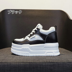 y2025tĐVz 8cmꃌfB[X Xj[J[ C w ؍ JWA @\ K y  ʋ f[g  X^CAbv SnQ ŐVgh V[Y 