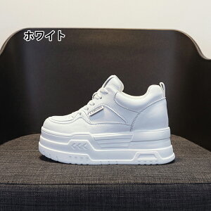 y2025tĐVz 8cmꃌfB[X Xj[J[ C w ؍ JWA @\ K y  ʋ f[g  X^CAbv SnQ ŐVgh V[Y 