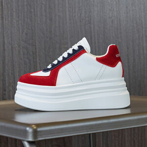 y2025tĐVz 8cmꃌfB[X Xj[J[ C w ؍ JWA @\ K y  ʋ f[g  X^CAbv SnQ ŐVgh V[Y 