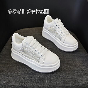 y2025tĐVz+7.5cmꃌfB[X Xj[J[ C w ؍ JWA @\ K y  ʋ f[g  X^CAbv SnQ ŐVgh V[Y 