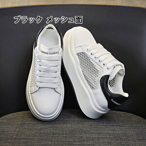 y2025tĐVz+7.5cmꃌfB[X Xj[J[ C w ؍ JWA @\ K y  ʋ f[g  X^CAbv SnQ ŐVgh V[Y 