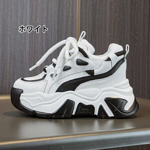 y2025tHVz Xj[J[8cmAbv Cq[Xj[J[ fB[X Xj[J[ Cq[ EH[LOV[Y  V[Nbg gLт r K y  