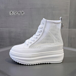 t̐V8cm nCJbgXj[J[  Xj[J[  Xj[J[ fB[X u[c fB[X Xj[J[ rAbvV[Y Ȃ C K nCJbgXj[J