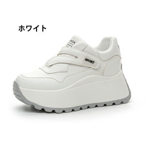 y2025tHVz Xj[J[8cmAbv Cq[Xj[J[ fB[X Xj[J[ Cq[ EH[LOV[Y  V[Nbg gLт r K y  