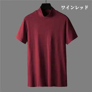 モックネック tシャツ メンズ ゴルフウェア 無地tシャツ モックネック ゴルフ 半袖 夏 ティーシャツ ストレッチ トップス レディース カットソー オフィス カジュアル ゴルフtシャツ ポロシ