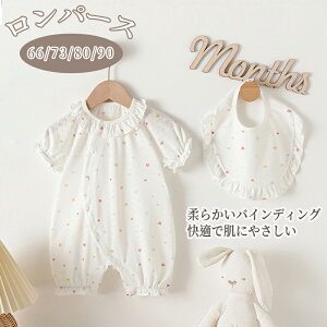 p[X Jo[I[  q    ʋC V xr[  ̎q xr[ j̎q ėp Ԃ  oYj Mtg 킢 [EFA LbY ߋ j  