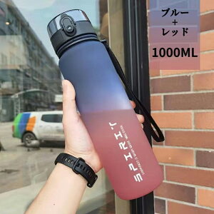  1bg ڐt  1L W EH[^[{g Y LbY fB[X  e y  ̎q X|[c 킢 j 싅 vX`bN X|[c{g  ʊw