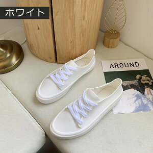 CpvX pvX CV[Y fB[X [q[ _炩 EhgD ʋ dp Jp h oG fB[X  C pvX ɂȂ ₷ JC 