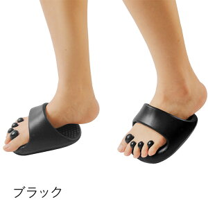 _CGbgXbp   ̊  [V[Y NT_ fB[X p r K  VFCvAbv y ނ݉P qbvAbv wL