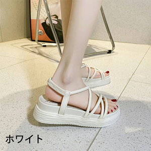 T_ fB[X  X|[c  T_ Ȃ ɂȂ y ₷ bNXQ fB[X ₷ r[`Xbp rC ̓ v[g Mtg