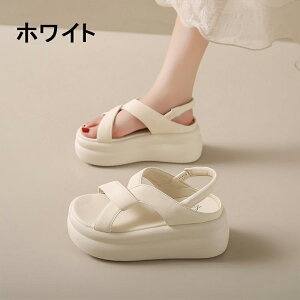 X|[cT_ T_ fB[X 7Z`q[ TCY tbg y RtH[g X|T ₷ r[`T_ C AEghA s r ʊw ʋ ꂢ 30 40