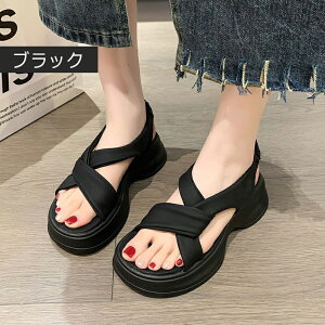 T_ fB[X gOT_  ItBXT_ o Xbp  ʋC LȂ pu y ɂ f JWA Vv  ₷ AEghA JW