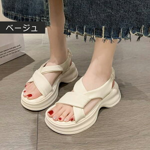 T_ fB[X gOT_  ItBXT_ o Xbp  ʋC LȂ pu y ɂ f JWA Vv  ₷ AEghA JW