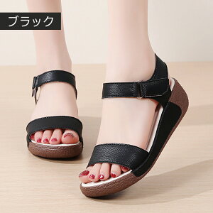 X|[cT_ fB[X T_ y  T_ Xj[J[T_ AEghA RtH[gT_ T_ fB[X  ₷ Ȃ y NbV Xg