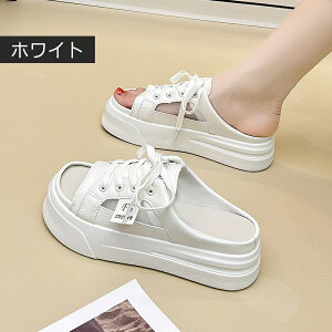 T_ T_ fB[X T_ ƂȂ Xj[J[ I[vgD Xb|  y Xb| fB[X T_ Ȃ X|[cT_ JWA s 