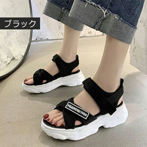 X|[cT_ fB[X T_ ʋC y n ₷ ItBXT_ EFbW\[ ₷  RtH[g r ~ K ɂ JWA 