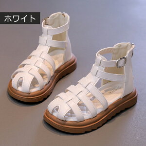 T_ q LbY C ʊw V[Y q r[`T_ ҂ݏグ ܐی  ₷ T}[u[c ̎q j̎q jp qp vZXV[Y \tg̒ 