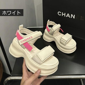 8cmgAbv X|[cT_ fB[X  RtH[gT_  XgbvT_ fB[X X|[cT_ JWAV[Y y ʋC ~ ʊw ʋ 