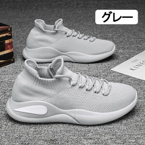 StV[Y Xj[J[ Y  XpCNX L y JWA EH[LO ~ ^C    ʋC EH[LO jO V[Y JWA X|[c C 