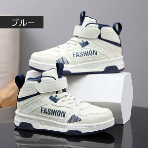 Xj[J[ LbY X|[cXj[J[ qC X|[cV[Y j̎q ̎q WjA ^C }WbNe[v JWA  y ~ h _X lC w {[CY K[