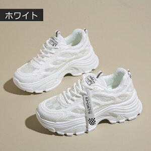  Xj[J[ fB[X ₷ Xj[J[ C EH[LOV[Y ꂢ  bVXj[J[ y y ʋC _bhXj[J[ אg Ȃ ₷