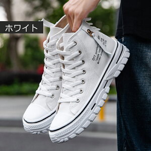 Y Xj[J[ 傫TCY EH[LOV[Y ʋC hL X|[cV[Y ^ ʊw ʋ 풅p ₷ Ȃ nCJbgXj[J[ LoXXj[J[ JWA