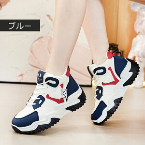 Xj[J[ fB[X jOV[Y Xj[J[ JWAV[Y y EH[LOV[Y ʋC ~ hL X|[cV[Y W jOV[Y ^C ʊw 