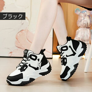 Xj[J[ fB[X jOV[Y Xj[J[ JWAV[Y y EH[LOV[Y ʋC ~ hL X|[cV[Y W jOV[Y ^C ʊw 