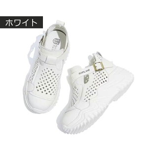 Xj[J[  fB[X jOV[Y JWAV[Y y EH[LOV[Y ʋC ~ hL X|[cV[Y W jOV[Y ʊw ʋ 