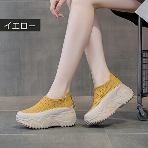 Xj[J[  {v fB[X jOV[Y JWAV[Y y EH[LOV[Y ʋC ~ hL X|[cV[Y W jOV[Y ʊw 