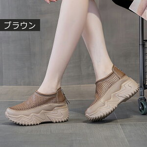 Xj[J[  {v fB[X jOV[Y JWAV[Y y EH[LOV[Y ʋC ~ hL X|[cV[Y W jOV[Y ʊw 