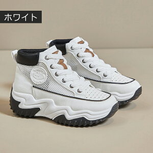 nCJbg Xj[J[ fB[X jOV[Y JWAV[Y y EH[LOV[Y ʋC ~ hL X|[cV[Y W jOV[Y ʊw ʋ 